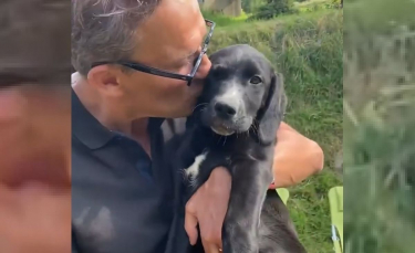 Illustration : "Tout sourire, Julien Courbet présente le chien qu’il vient d’adopter et invite ses abonnés à en faire de même"