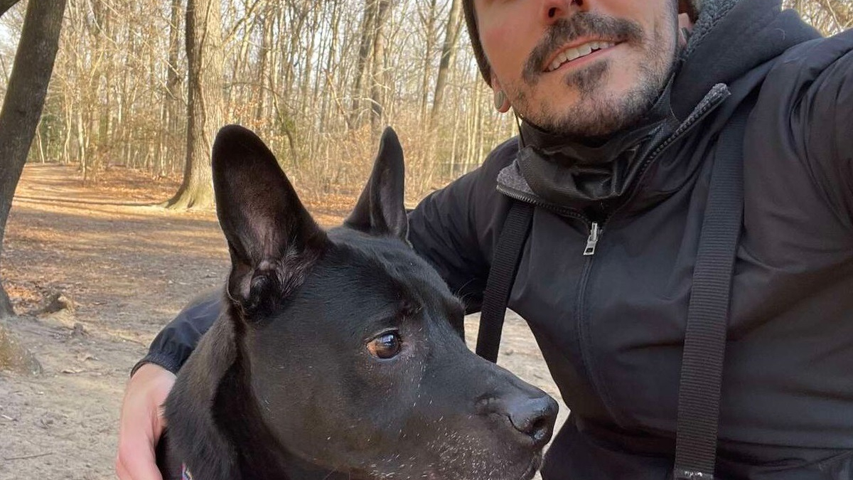 Illustration : "Un homme achète et rénove un chalet dans la nature pour assurer la meilleure retraite possible à son chien"