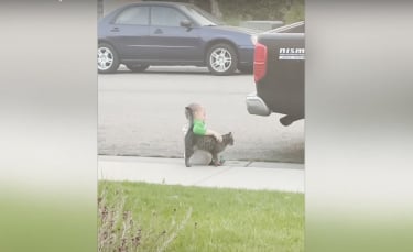 Illustration : "Triste, un petit garçon s'assoit seul sur le trottoir. Jusqu'à ce qu'un chat amical s'approche pour le consoler ! (Vidéo)"