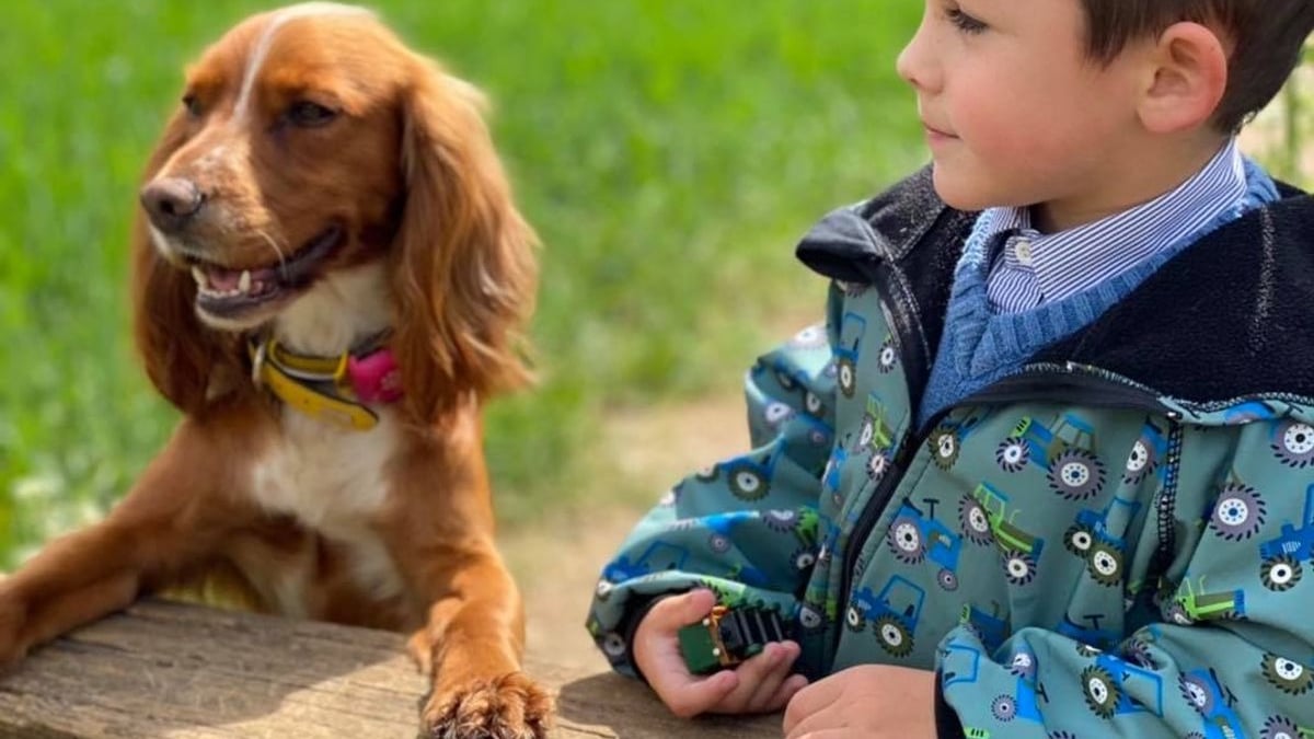 Illustration : "L'histoire magnifique d'un petit garçon autiste qui apprend à s'ouvrir aux autres grâce à sa chienne"