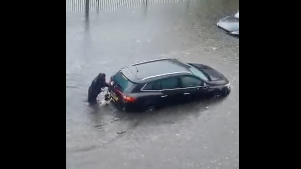 Illustration : "Inondations : un chien courageux aide sa propriétaire à pousser une voiture piégée dans l'eau (vidéo)"
