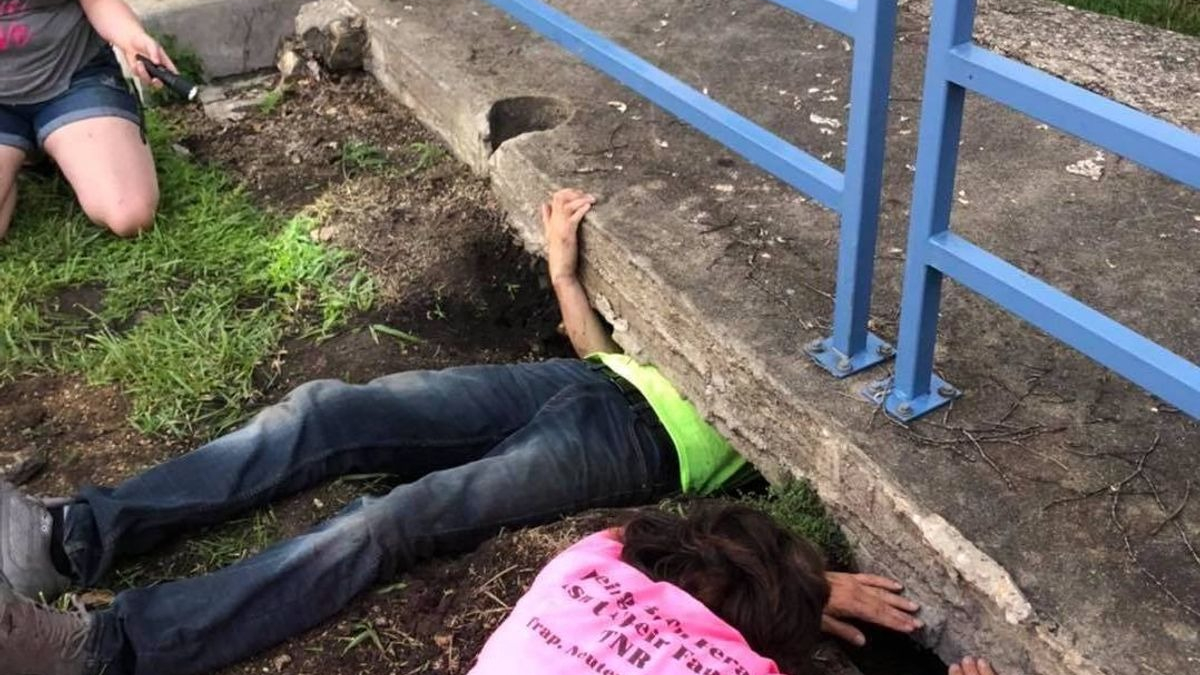 Illustration : "Un homme adroit rampe sous une plaque en béton pour secourir une portée de 6 chatons"