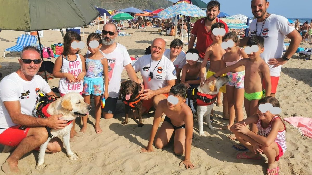 Illustration : "3 chiens sauveteurs sauvent 14 personnes, dont 8 enfants, emportées par la mer"