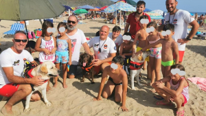 Illustration : 3 chiens sauveteurs sauvent 14 personnes, dont 8 enfants, emportées par la mer