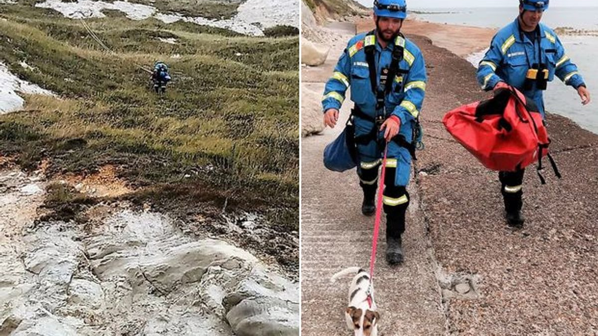 Illustration : "Intrigué par des pleurs, un promeneur appelle les secours. Il s'agissait d'un Jack Russell perdu depuis plus de 24 heures !"