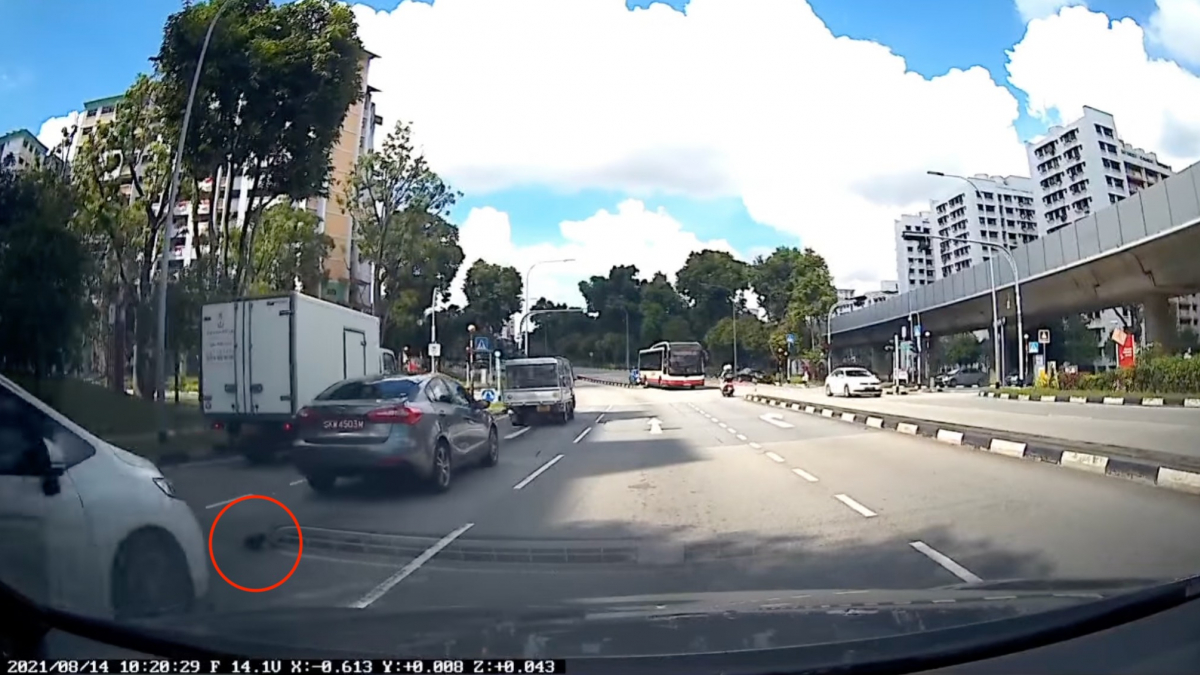 Illustration : "Des automobilistes stoppent la circulation pour secourir un chaton caché sous un véhicule au milieu de la route"