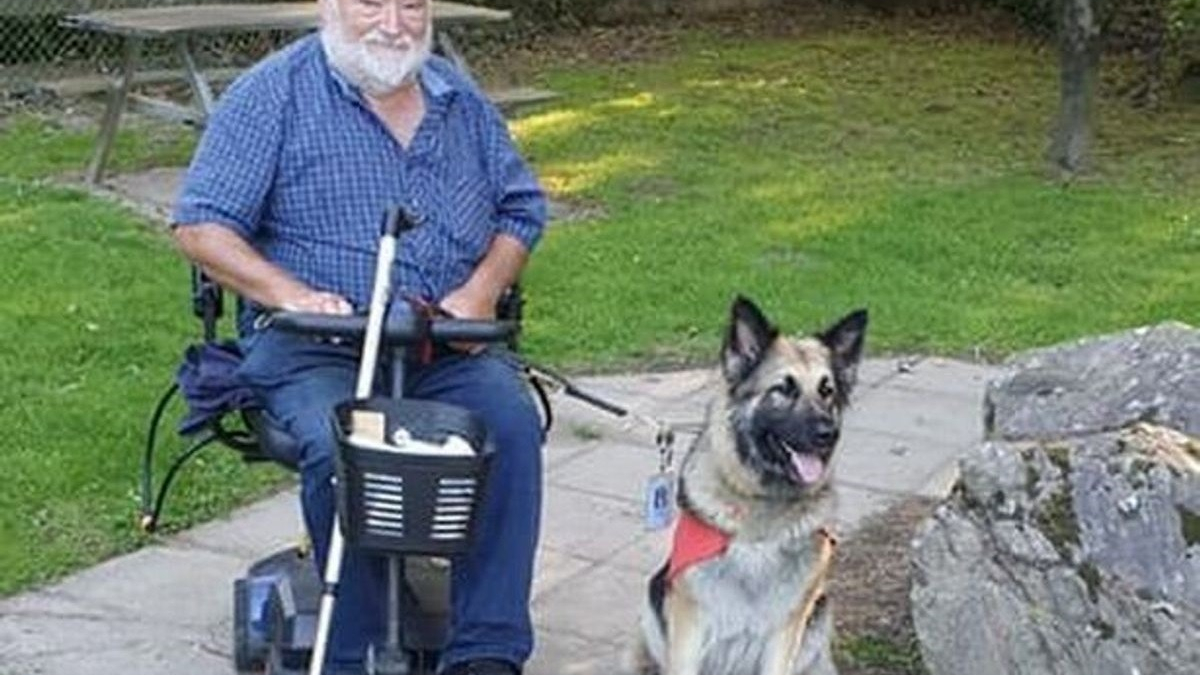 Illustration : "Un retraité contraint de se séparer de sa chienne suit des séances de thérapie canine pour surmonter cette épreuve"