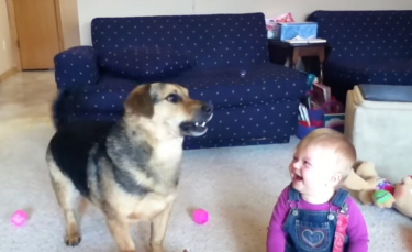 Illustration : "Une maman filme une séquence adorable dans laquelle son bébé rit en voyant leur chien essayer d'attraper des bulles"