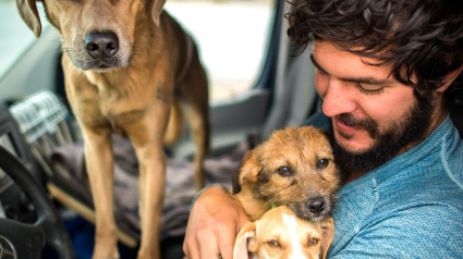 Illustration : En vacances, un amoureux des animaux aide 6 chiens dans un état critique, dont 2 femelles sur le point de mettre bas