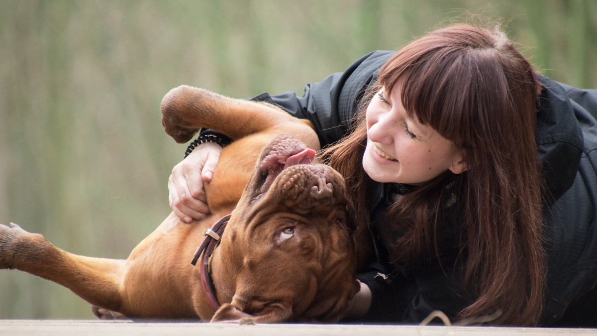 Illustration : "Journée mondiale du chien : 5 raisons pour lesquelles le chien est le meilleur ami de l'Homme"