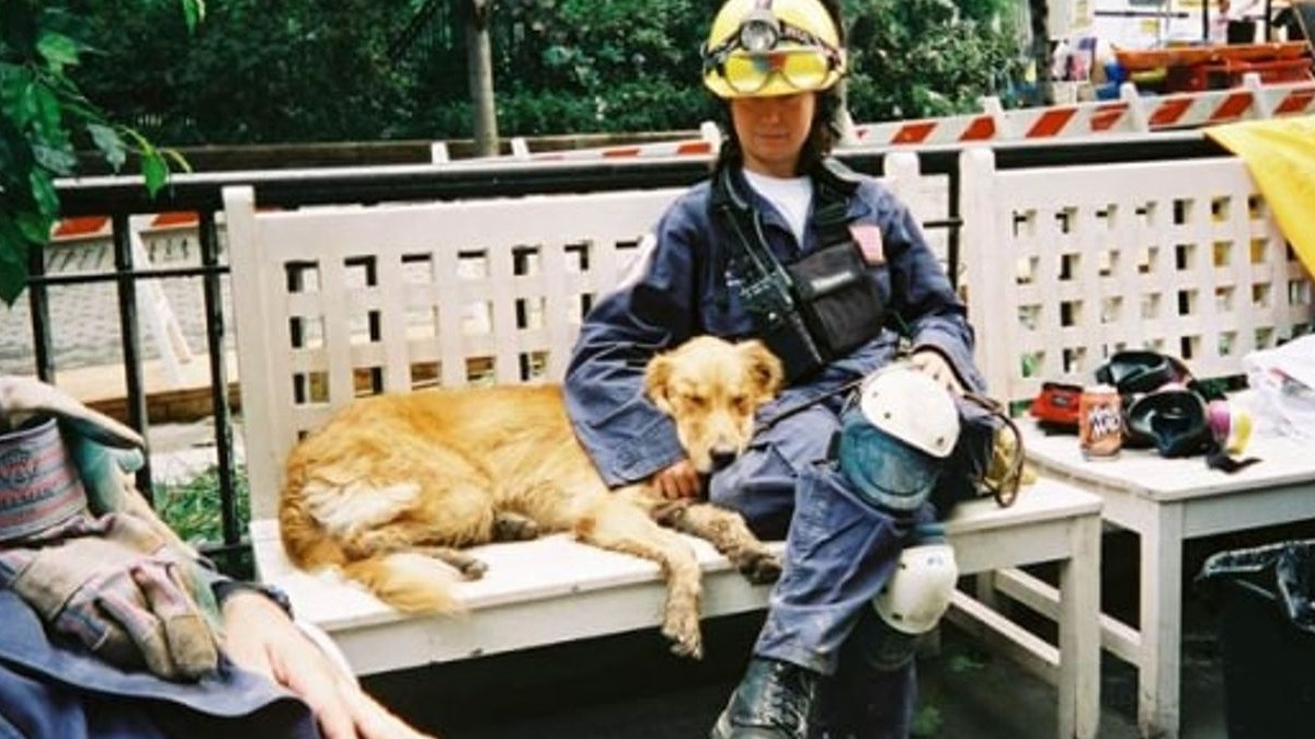 Illustration : "Attentats du 11 septembre : la mémoire du dernier chien de recherche dans les décombres se perpétue "