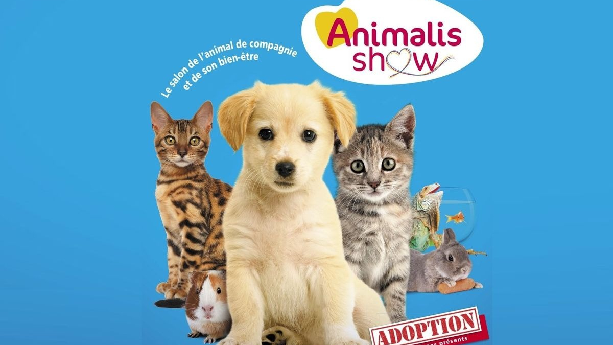 Illustration : "30e édition d’Animal Expo - Animalis Show, le rendez-vous des amoureux des animaux de compagnie, sous le signe du bien-être animal"