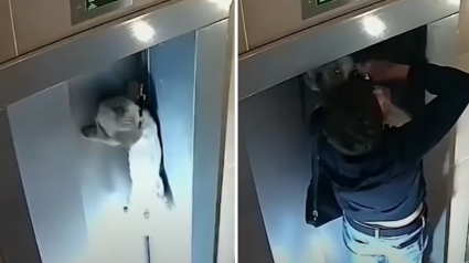 Illustration : Un homme sauve un chien piégé à l'extérieur d'un ascenseur alors que sa maîtresse est à l'intérieur (vidéo)