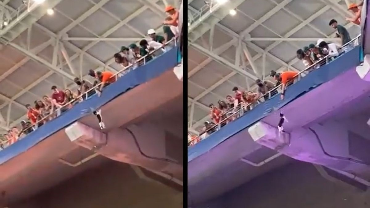 Illustration : "Un chat coincé sur le toit d'un stade rattrapé par les supporters grâce à un drapeau (vidéo)"