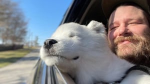 Illustration : Nos animaux de compagnie sont les meilleurs ? Ces 15 photos le prouvent !