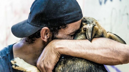 Illustration : 20 photos illustrant l'attachement inébranlable entre des sans-abri et leurs chiens