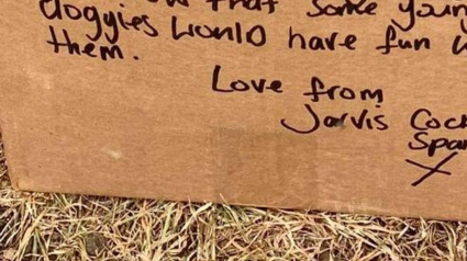 Illustration : Une promeneuse de chiens tombe sur un carton rempli de balles de tennis, avec un message qui l’émeut aux larmes