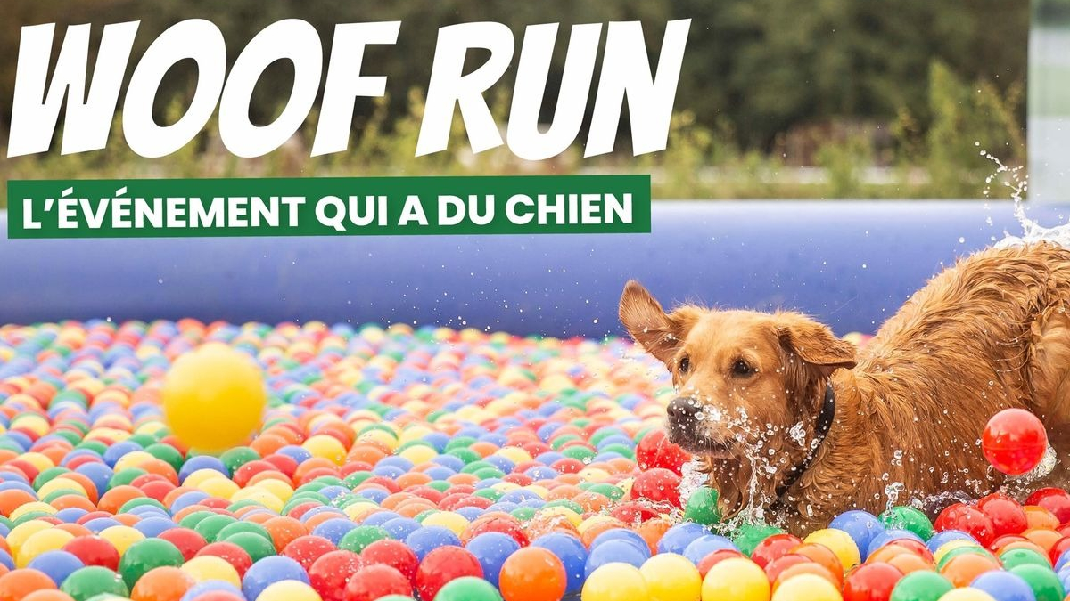 Illustration : " Rendez-vous ce week-end des 18 et 19 septembre pour la Woof Run, l'évènement tant attendu par les férus de sports canins"