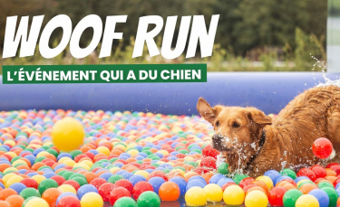 Illustration : " Rendez-vous ce week-end des 18 et 19 septembre pour la Woof Run, l'évènement tant attendu par les férus de sports canins"