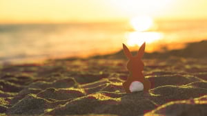 Illustration : "Faire face à la mort de son lapin"