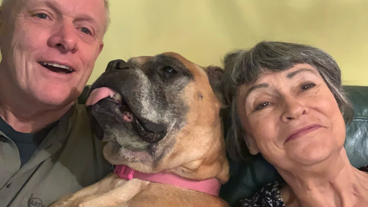 Illustration : "Atteint d'une maladie en phase terminale, un chien est adopté par un couple qui décide de le combler d'amour jusqu'à son dernier souffle"