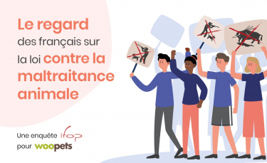 Illustration : "Les Français et la cause animale : un enjeu sociétal et politique de plus en plus fort"