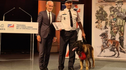 Illustration : Un chien de sauvetage honoré à la mairie de Paris dans le cadre de la troisième édition des « Trophées des chiens héros »