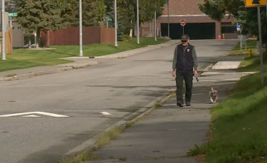 Illustration : "Un homme de 68 ans et son chien férus de marche ont parcouru en 8 ans l'équivalent d'un tour du monde"