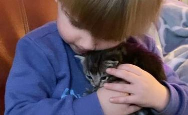 Illustration : "Un petit garçon doux et bienveillant devient le gardien des chats errants recueillis par sa maman"