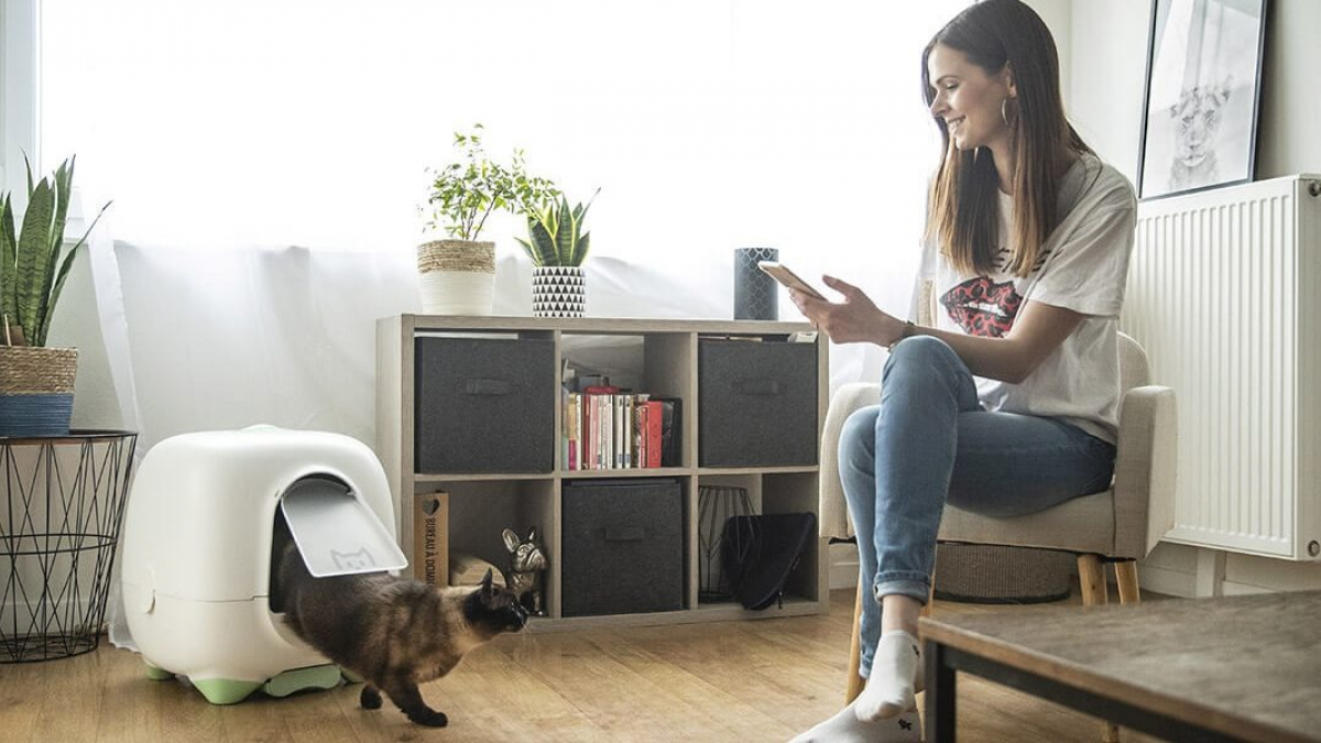 Illustration : "Caremitou, la nouvelle litière connectée qui veille quotidiennement au bien-être et à la santé de votre chat"