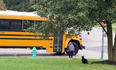 Illustration : "La routine matinale d'un chat protecteur qui accompagne une petite fille jusqu'au bus scolaire (vidéo)"