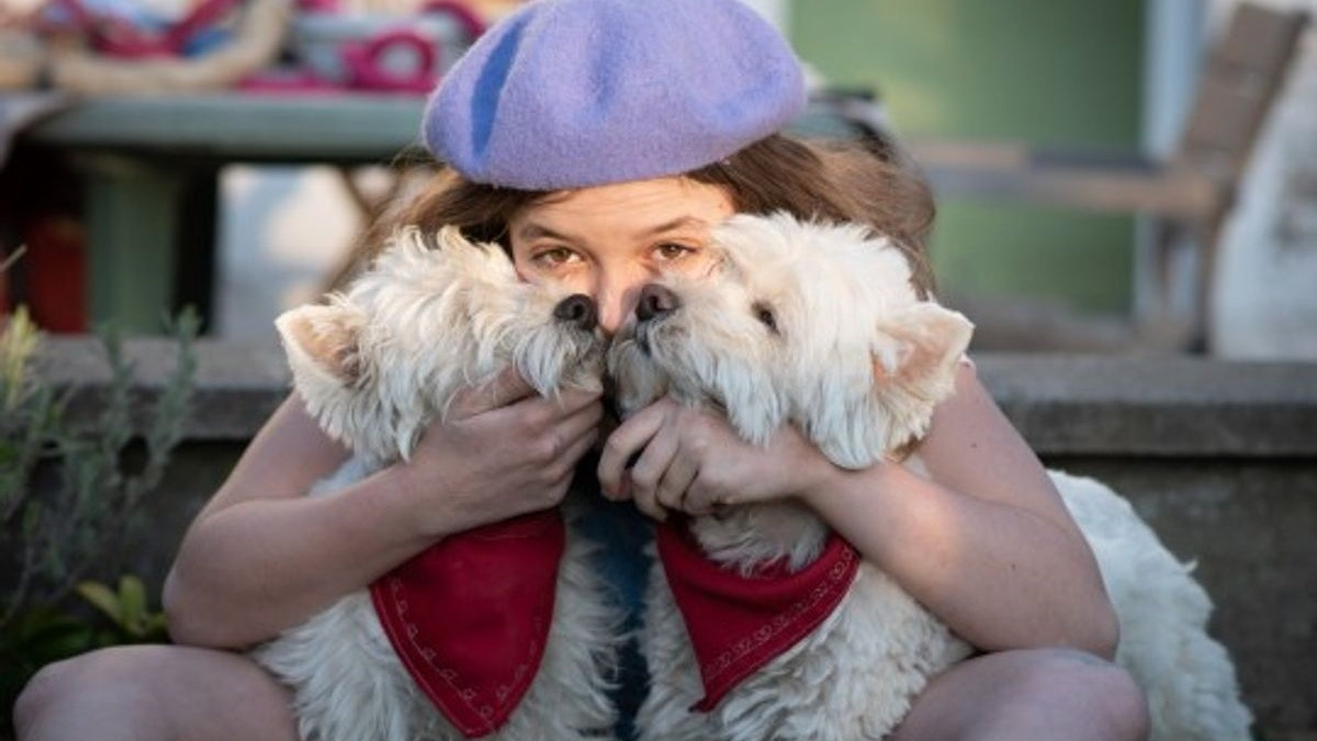 Illustration : "Une femme donne une seconde chance à 2 chiens borgnes rejetés à cause de leur 