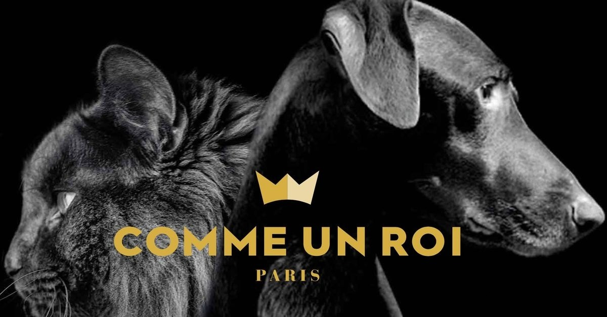 Comme Un Roi La Nouvelle Marque Francaise Sur Le Marche De L Alimentation Des Soins Et Des Accessoires Haut De Gamme Pour Chien Et Chat