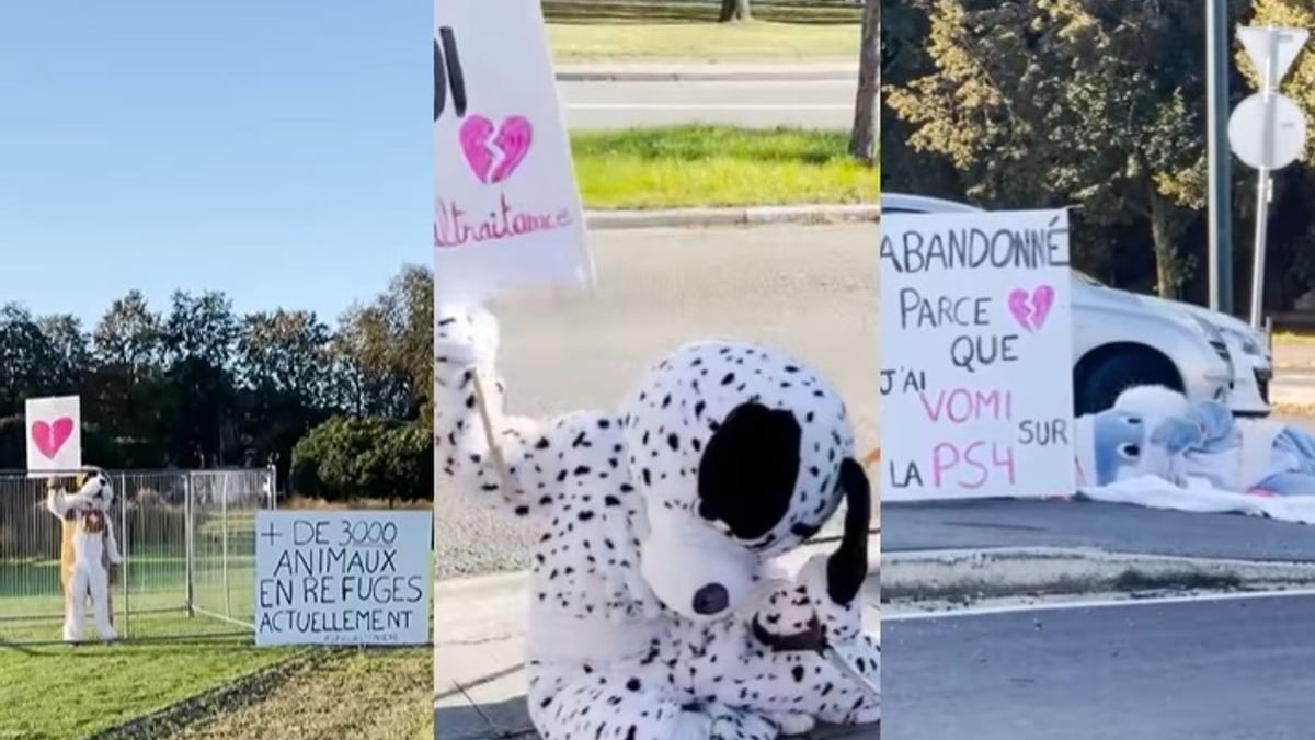 Illustration : "Une action coup de poing de la SPA avec des humains déguisés en chiens et chats abandonnés dans toute la ville"