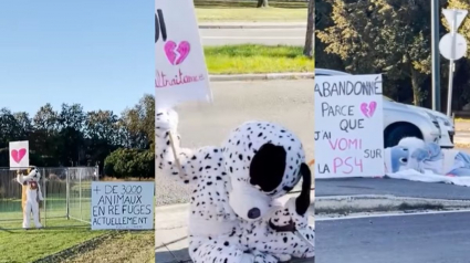 Illustration : Une action coup de poing de la SPA avec des humains déguisés en chiens et chats abandonnés dans toute la ville