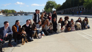 Illustration : "Une Marche de l'Animal en ville pour remettre 10 propositions concrètes à l'Assemblée nationale"