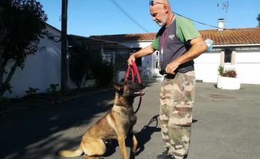 Illustration : "La belle revanche d'un chien qui s'apprête à rejoindre une brigade cynophile après avoir échappé de justesse à l'euthanasie"