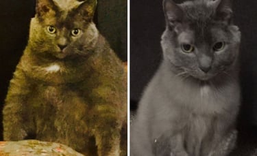 Illustration : "20 photos de chats et de chiens qui ont vaincu l'obésité grâce au soutien de leur famille"