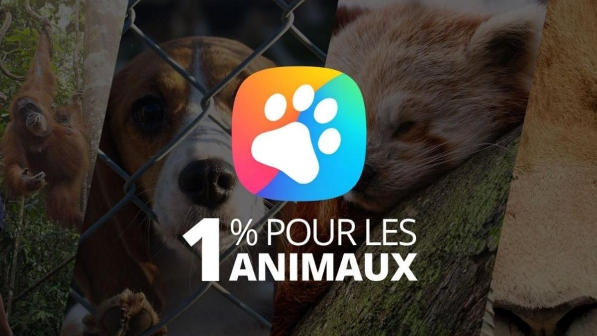 Illustration : "YouCare lance le label « 1% Pour les Animaux » pour protéger les vies animales et la biodiversité"