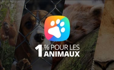 Illustration : "YouCare lance le label « 1% Pour les Animaux » pour protéger les vies animales et la biodiversité"