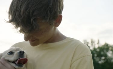 Illustration : "Un héros de 12 ans offre un nouveau souffle à un chien handicapé en lui fabriquant un chariot avec des briques LEGO"
