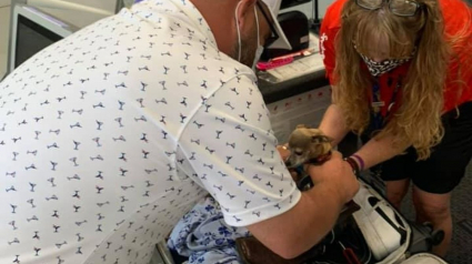 Illustration : La surprise d'un couple de voyageurs découvrant son Chihuahua dans une valise lors de l'enregistrement à l'aéroport !