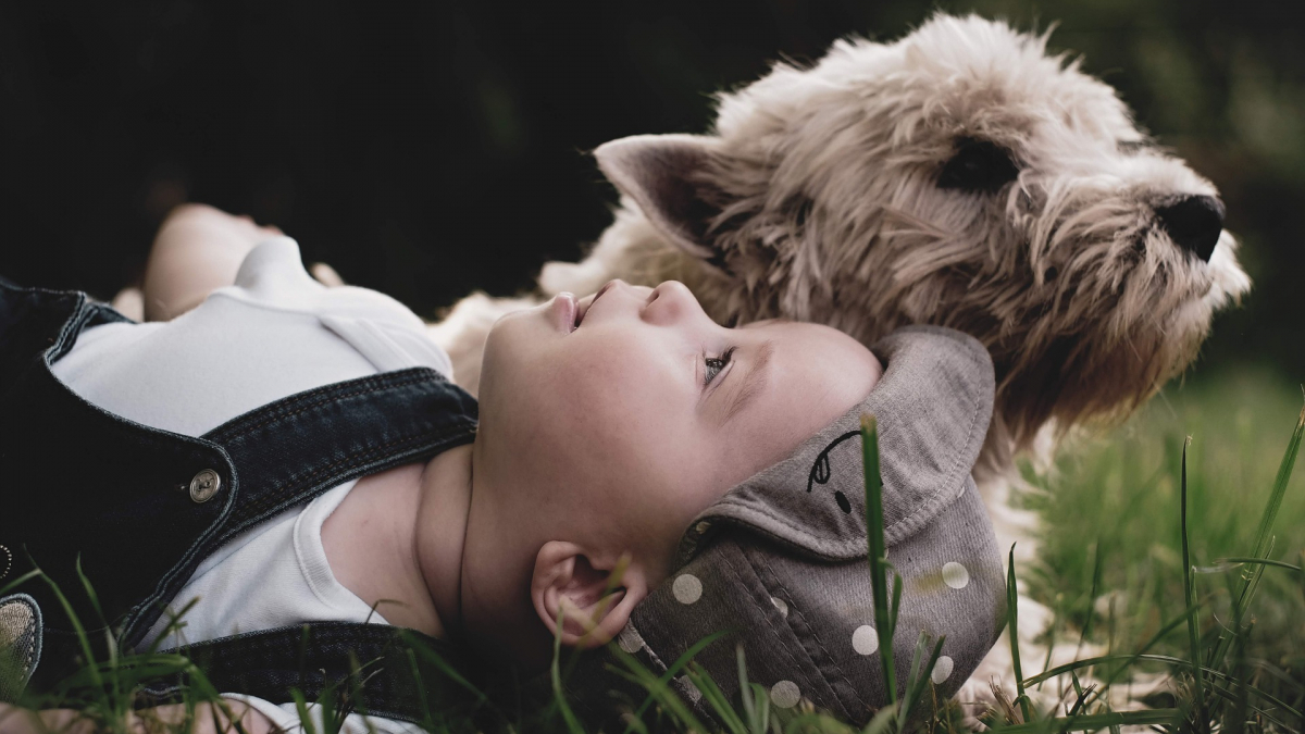 Illustration : "Un garçon portant une attelle à la jambe émeut un fermier en voulant adopter un chiot handicapé"