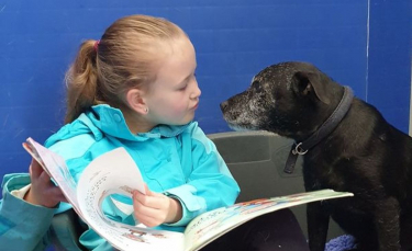 Illustration : "Une petite fille se donne pour mission d'aider les animaux effrayés et nerveux d'un refuge en leur lisant des histoires (vidéo)"