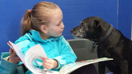 Illustration : Une petite fille se donne pour mission d'aider les animaux effrayés et nerveux d'un refuge en leur lisant des histoires (vidéo)