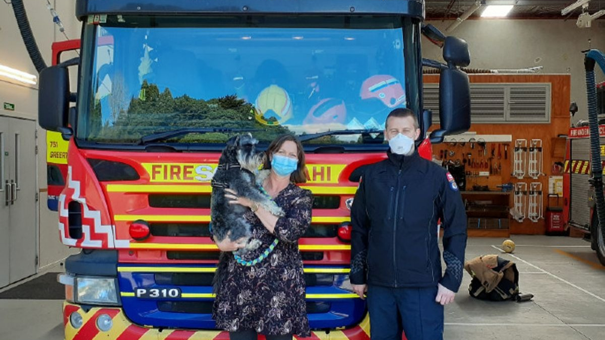 Illustration : "Des pompiers se déplacent en urgence pour secourir une chienne coincée dans un terrier, après avoir poursuivi un lapin"