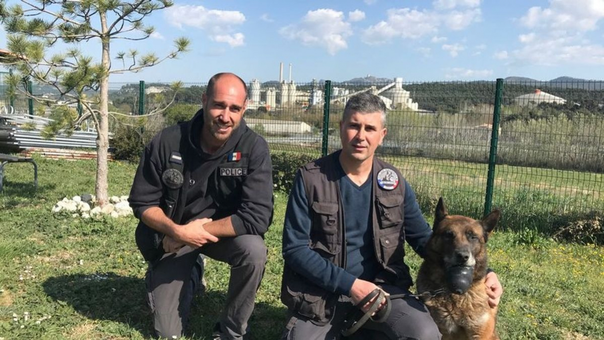 Illustration : "La première maison de retraite pour les chiens policiers ouvre ses portes près de Marseille"