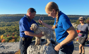Illustration : "Plusieurs groupes de secours tentent de récupérer une chienne sénior coincée dans une crevasse pendant 5 jours"