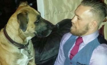 Illustration : "L’émouvant hommage du combattant MMA Conor McGregor à son chien qu’il vient de perdre"