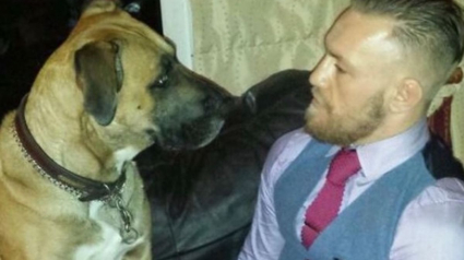 Illustration : L’émouvant hommage du combattant MMA Conor McGregor à son chien qu’il vient de perdre